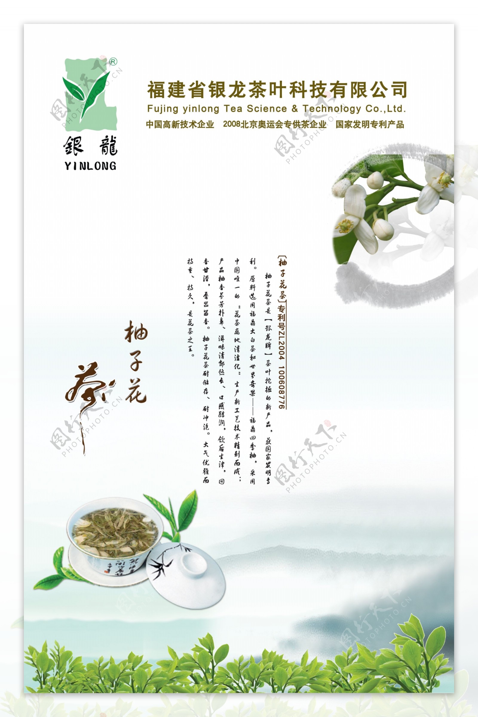 柚子茶海报图片