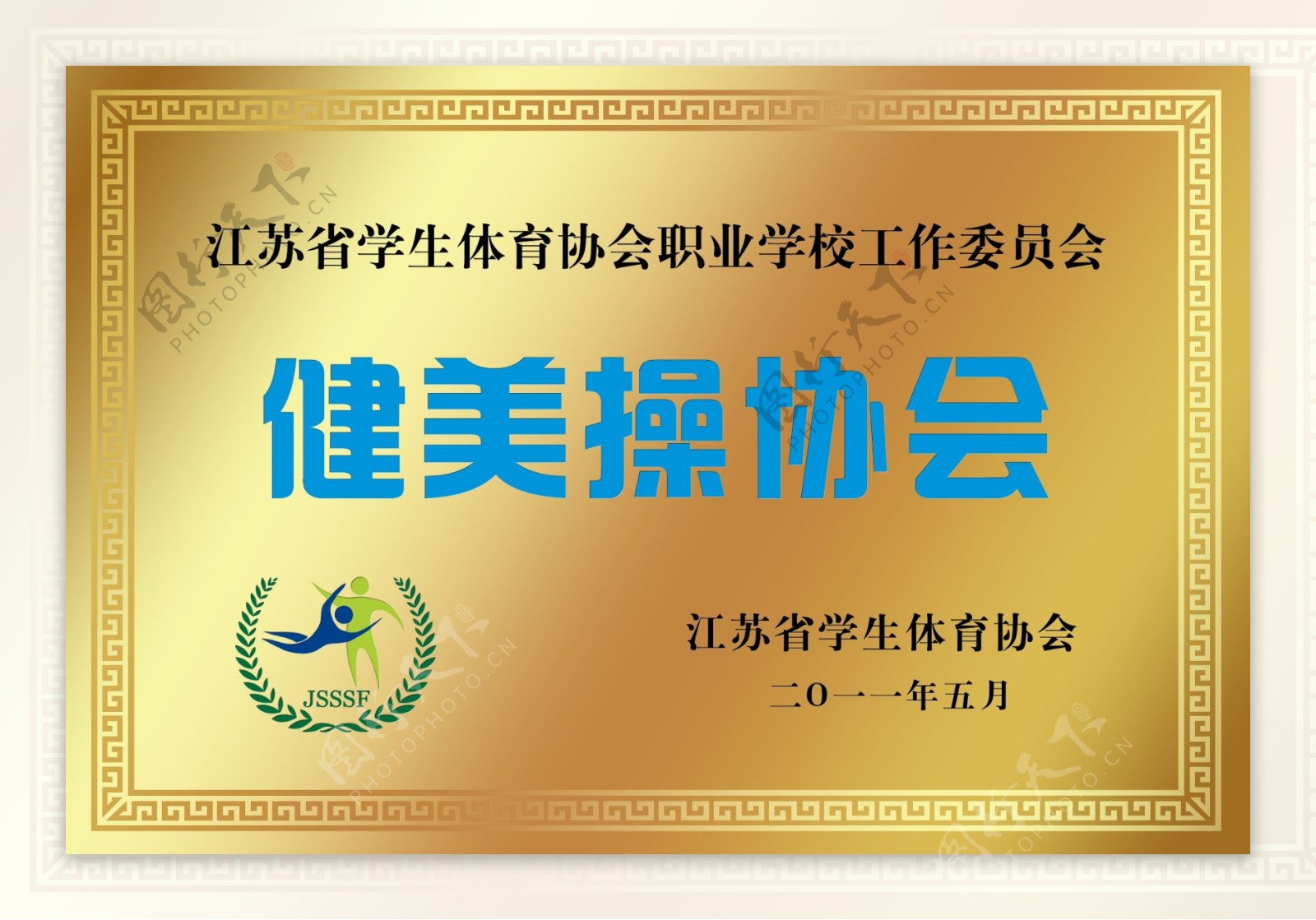 江苏省学生体育协会授健美操协会铜牌图片