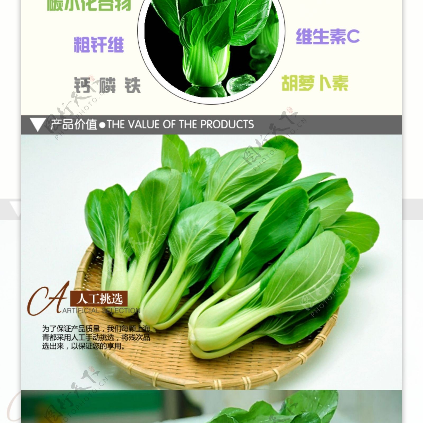 蔬菜banner
