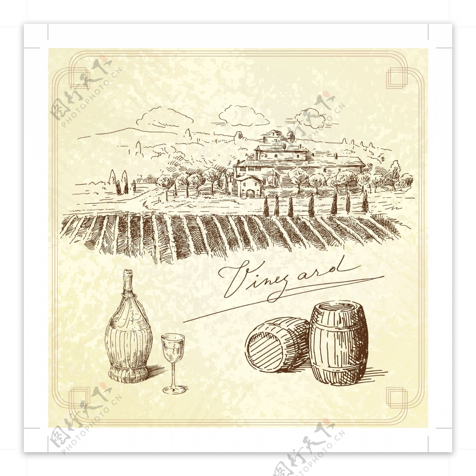 旧货手工绘制的葡萄园的背景