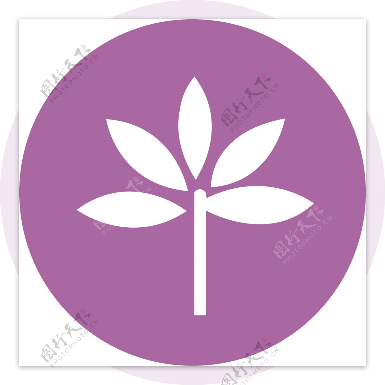 紫色背景花朵图标
