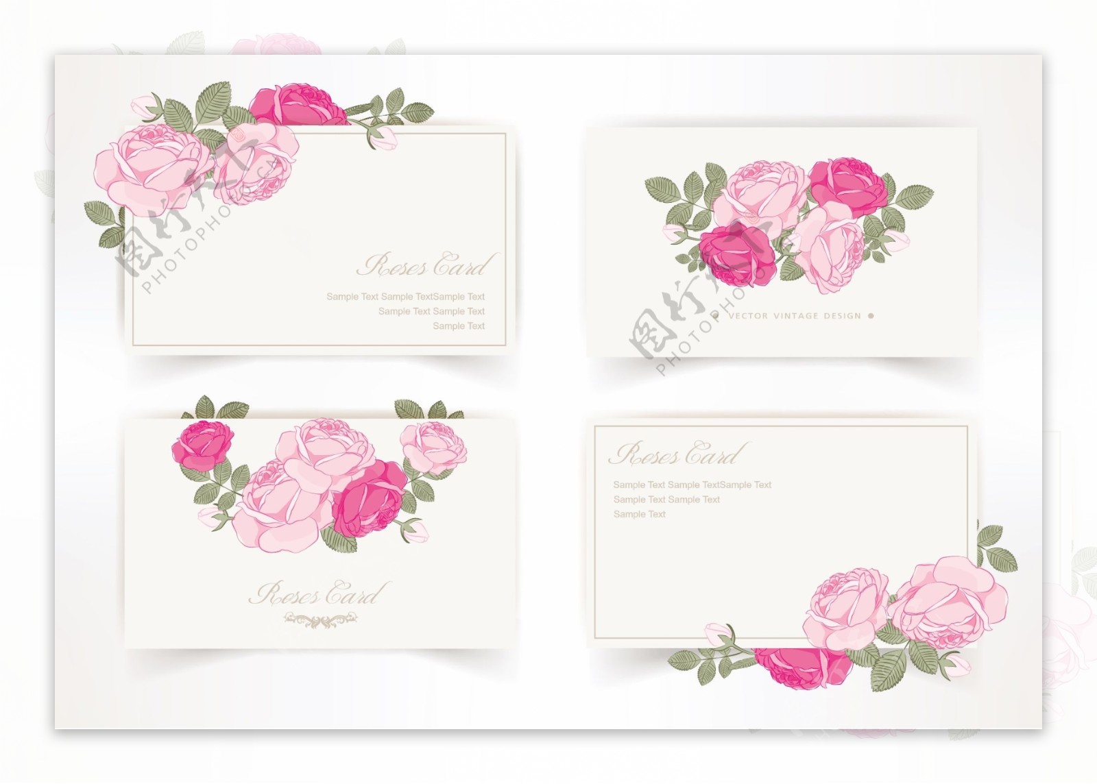 粉色卡片矢量图形设计02朵玫瑰