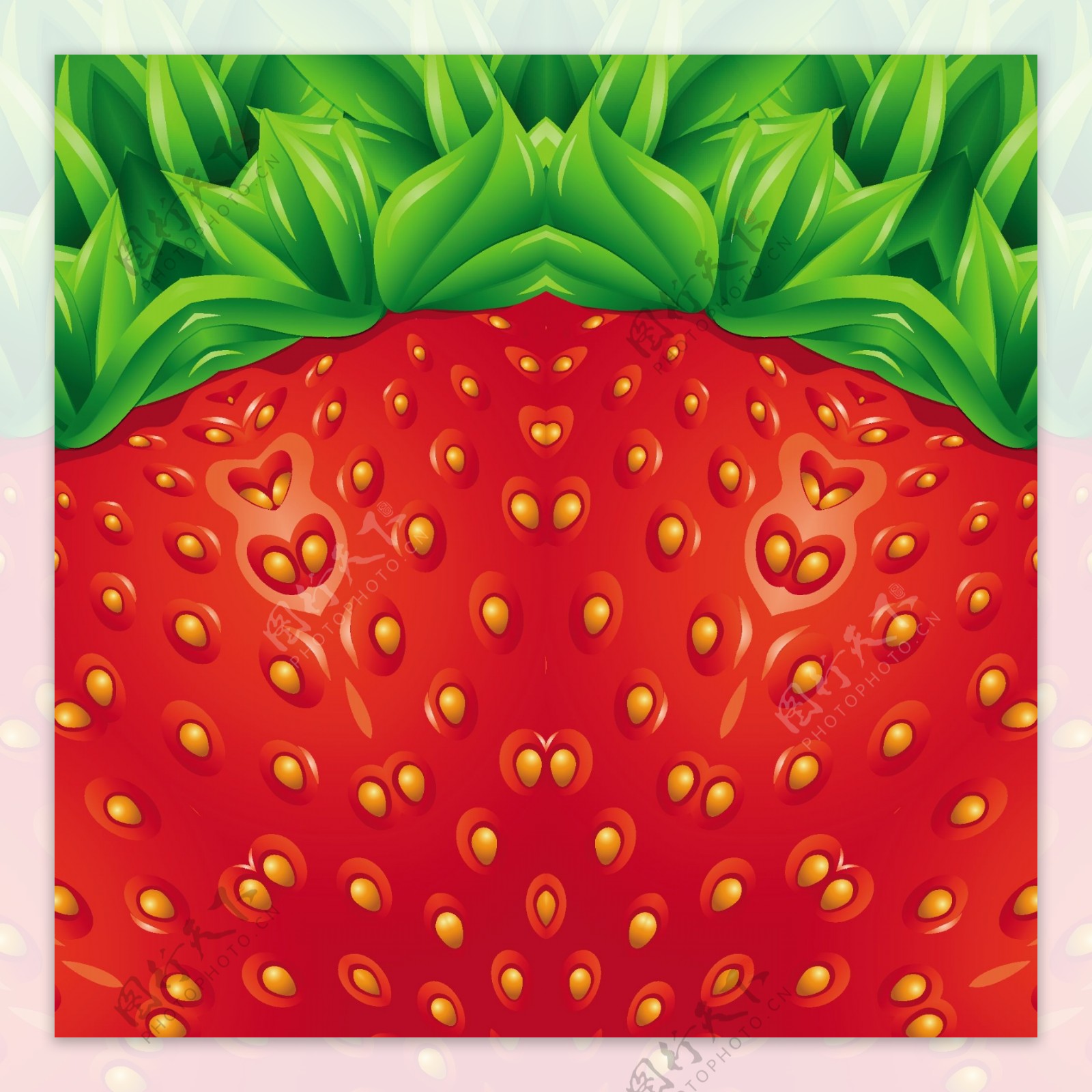 夏季草莓背景矢量素材