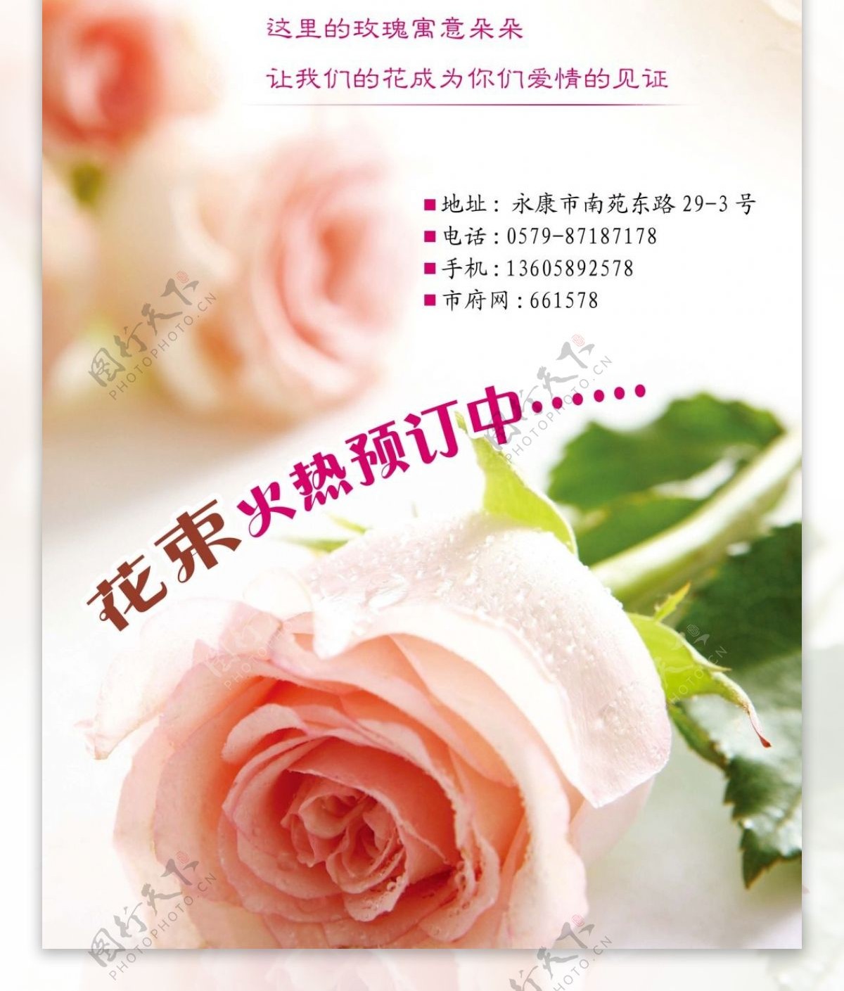 七夕情人节玫瑰海报
