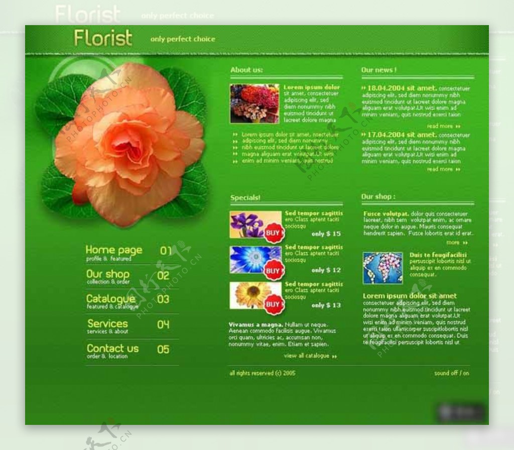 绿色绽放花卉中心网页模板