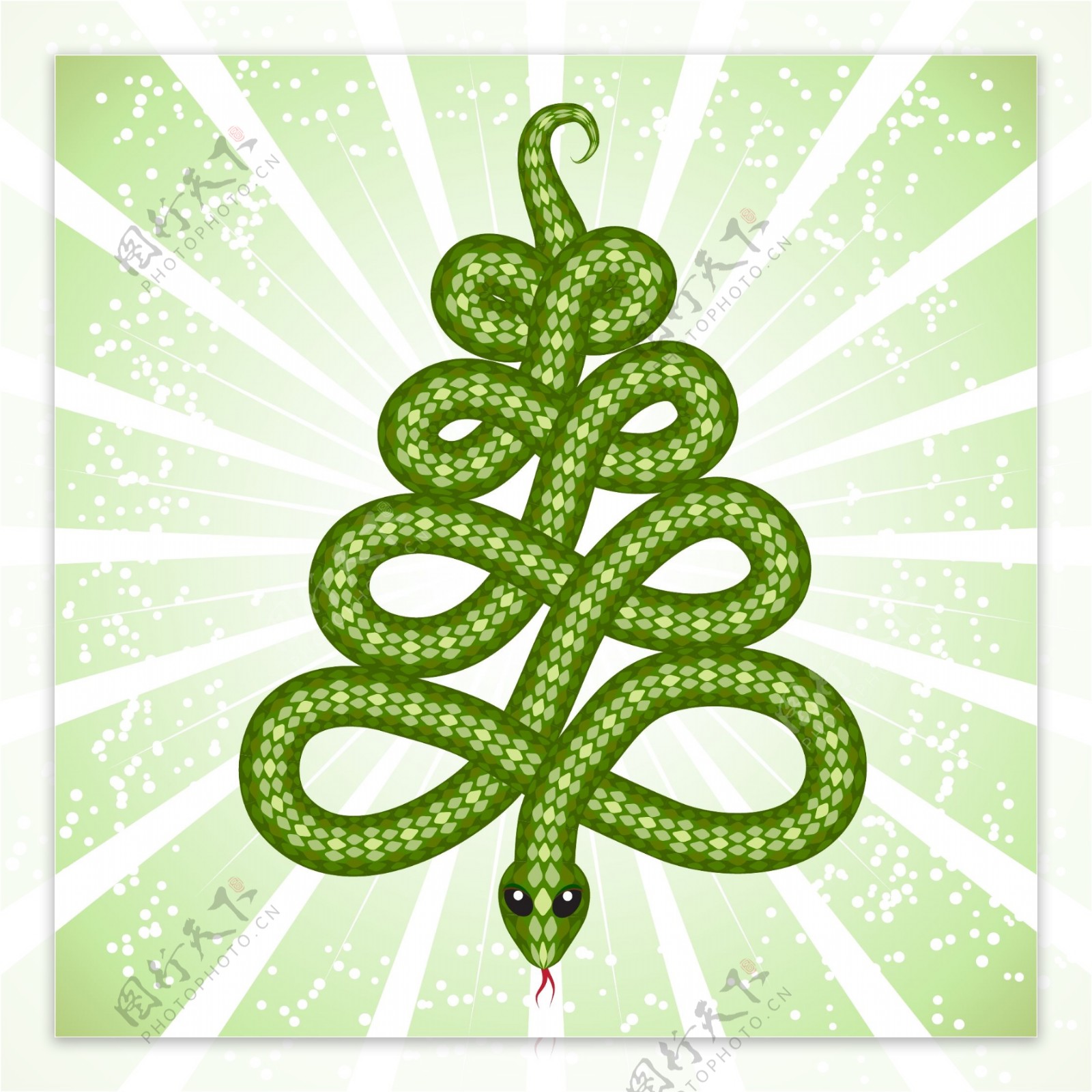 2013年的蛇的图形创意02载体材料