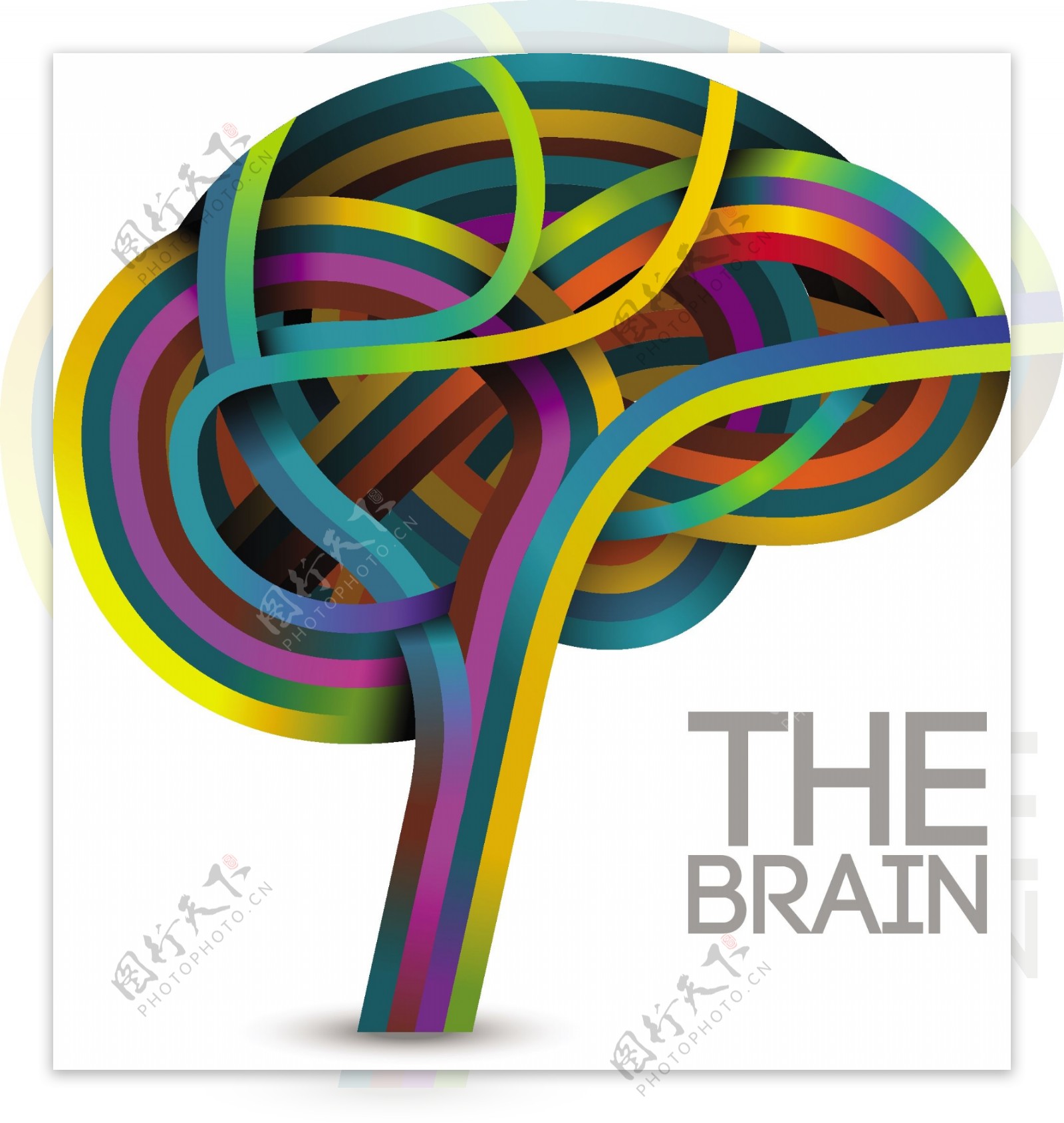 大脑思维树图片