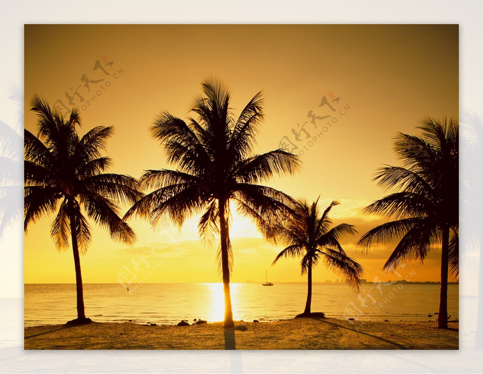 夕阳沙滩图图片