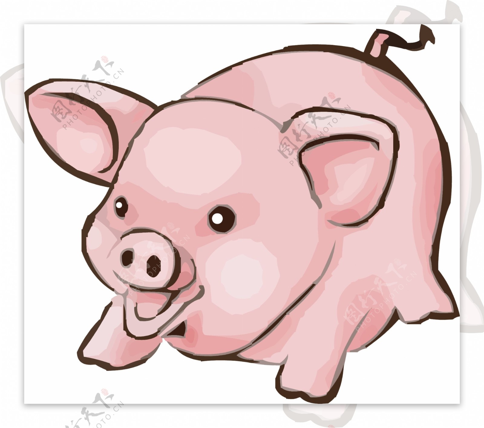 动物猪韩国矢量图25