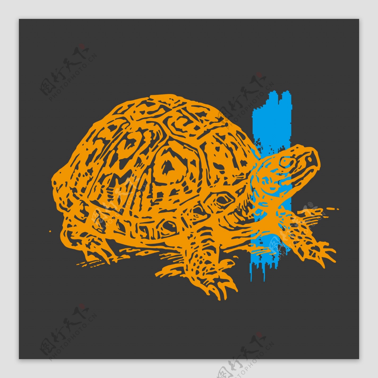 印花矢量图T恤图案动物图案乌龟色彩免费素材