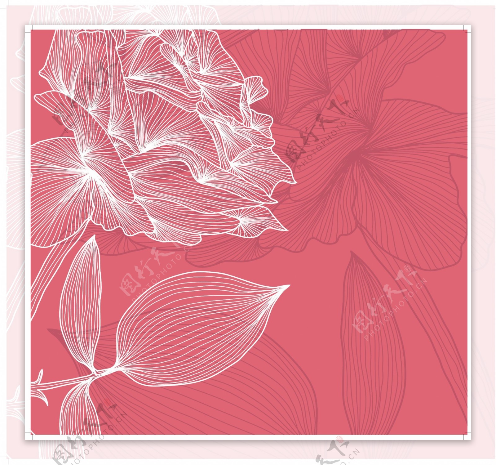 矢量素材植物线描花卉图片