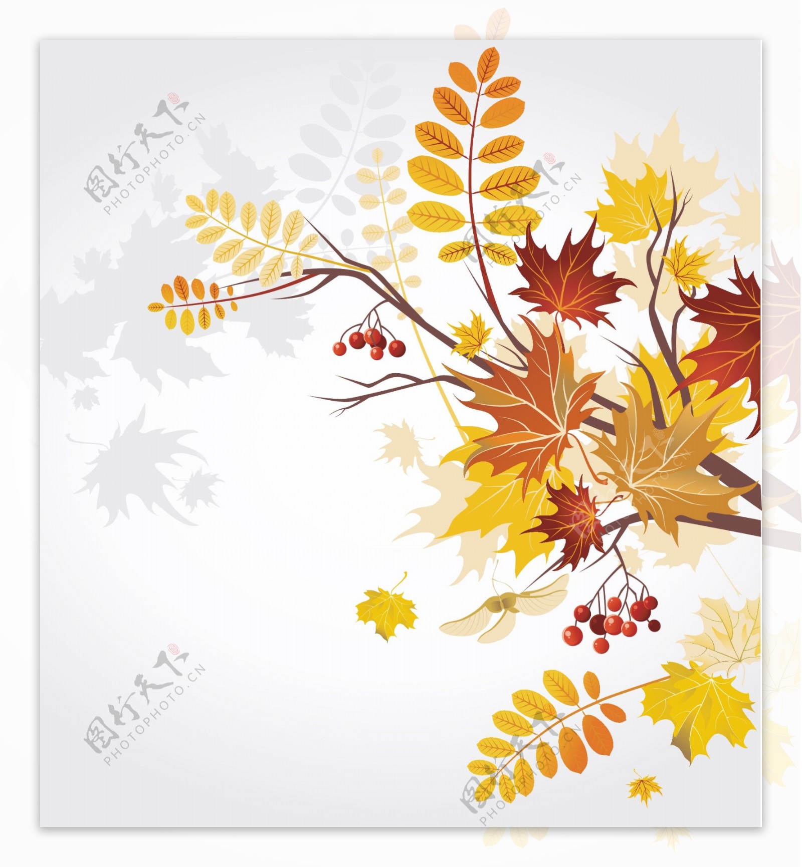 矢量秋季植物树叶背景素材