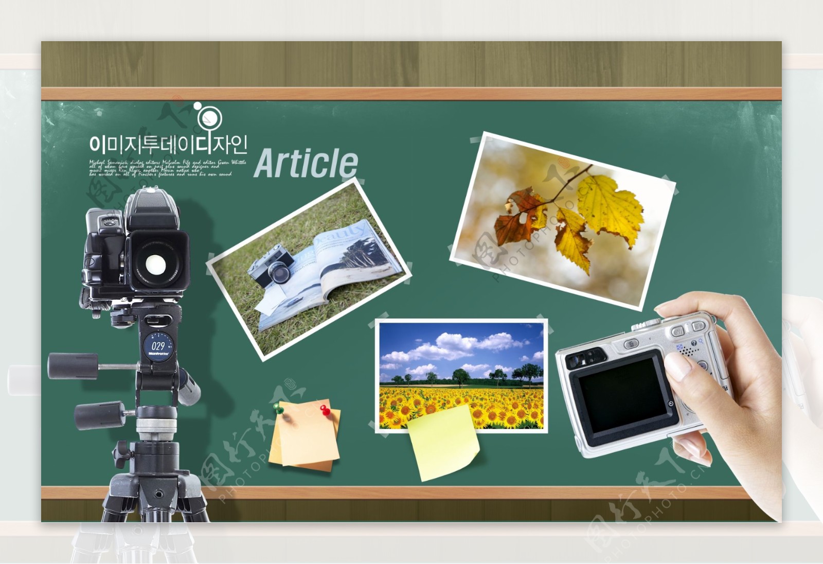 相机相片底片相夹帽子水果风景树叶向日葵PSD分层素材源文件韩国花纹图库