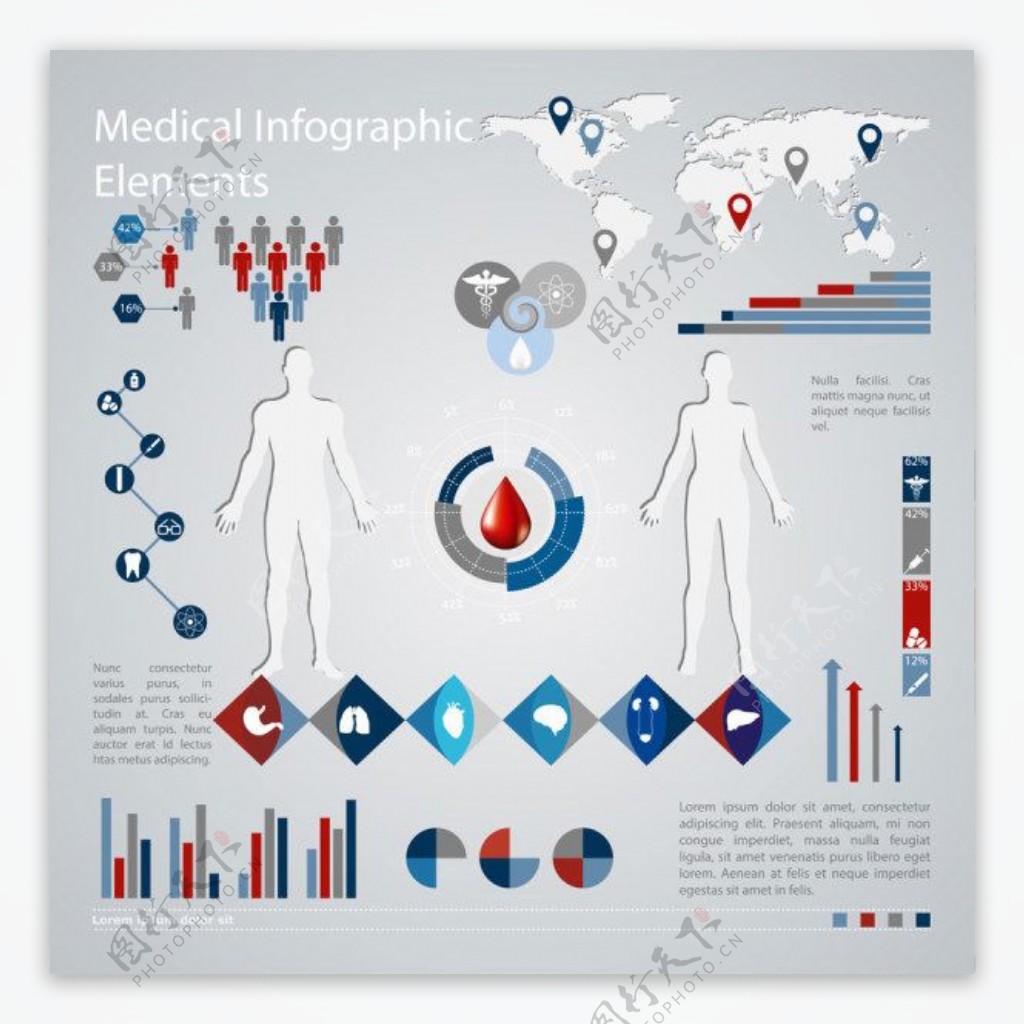 医药信息图表04矢量素材