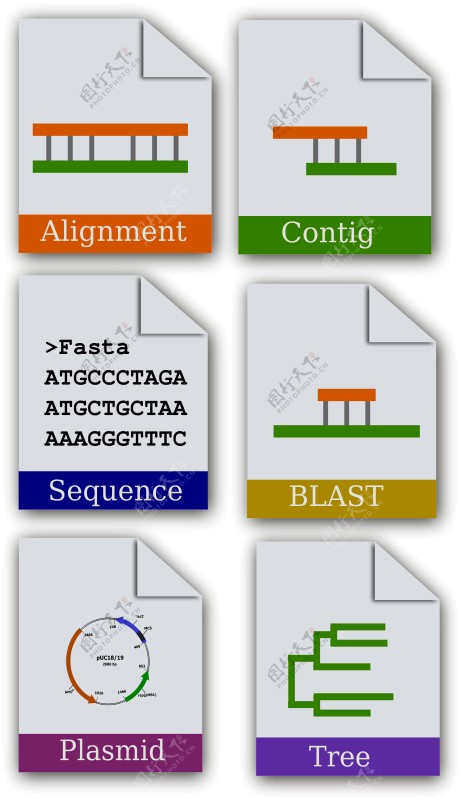 生物信息学的图标集
