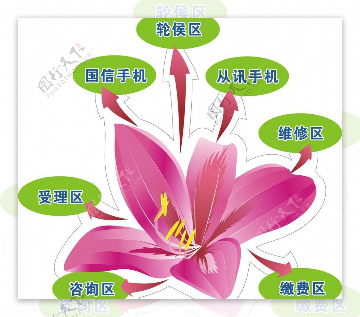 紫荆花指示牌图片