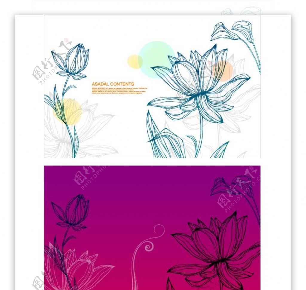 彩色线描花卉横幅矢量图AI