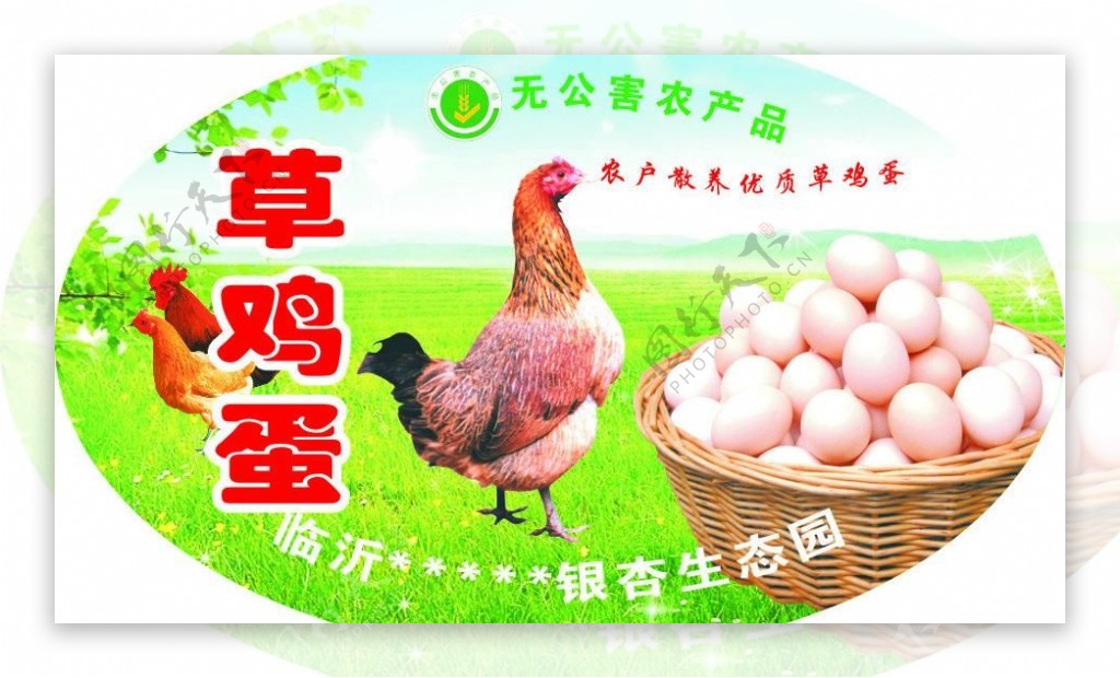 草鸡蛋标签图片