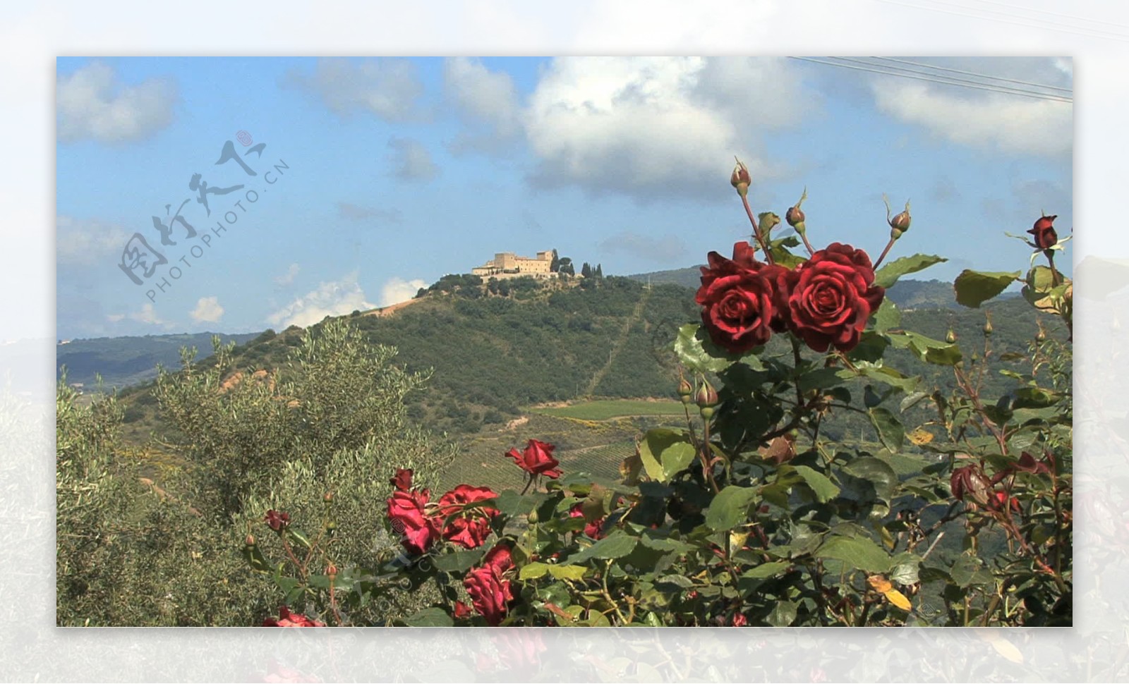 托斯卡纳玫瑰和景观1股票的录像视频免费下载