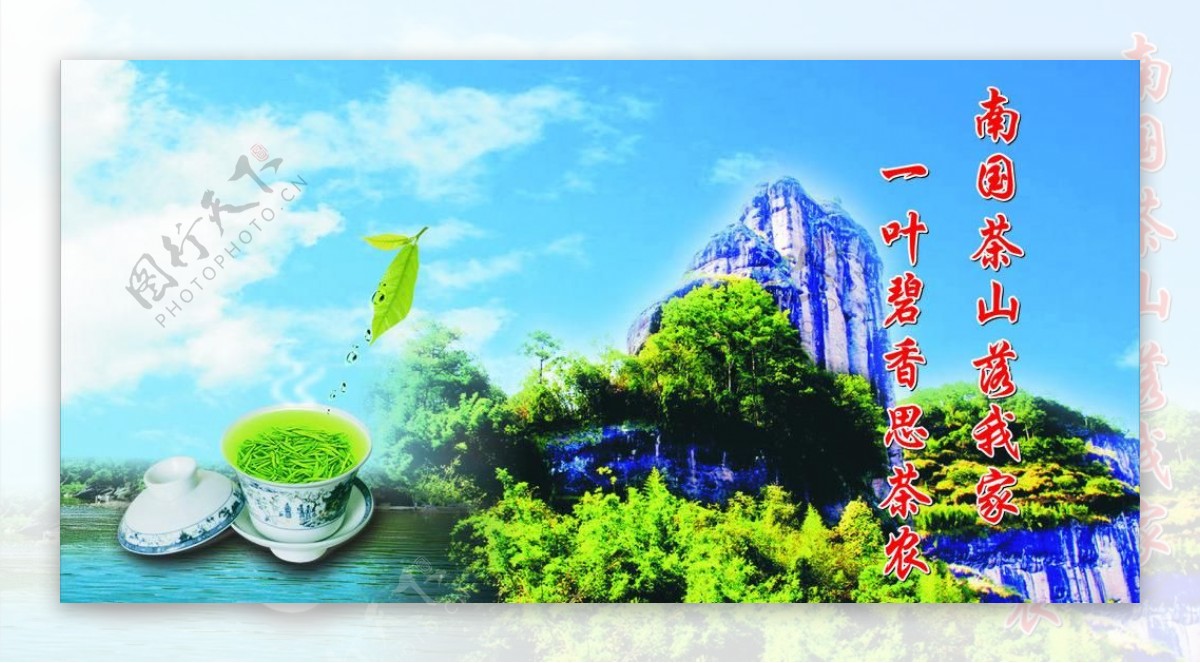 玉女峰展板茶图片