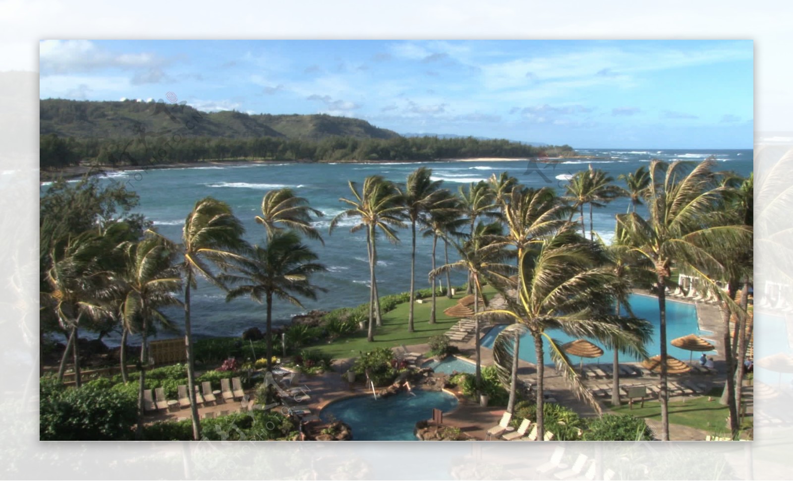 夏威夷阳光度假村股票视频视频免费下载