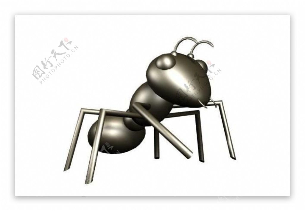 蚂蚁模型图片