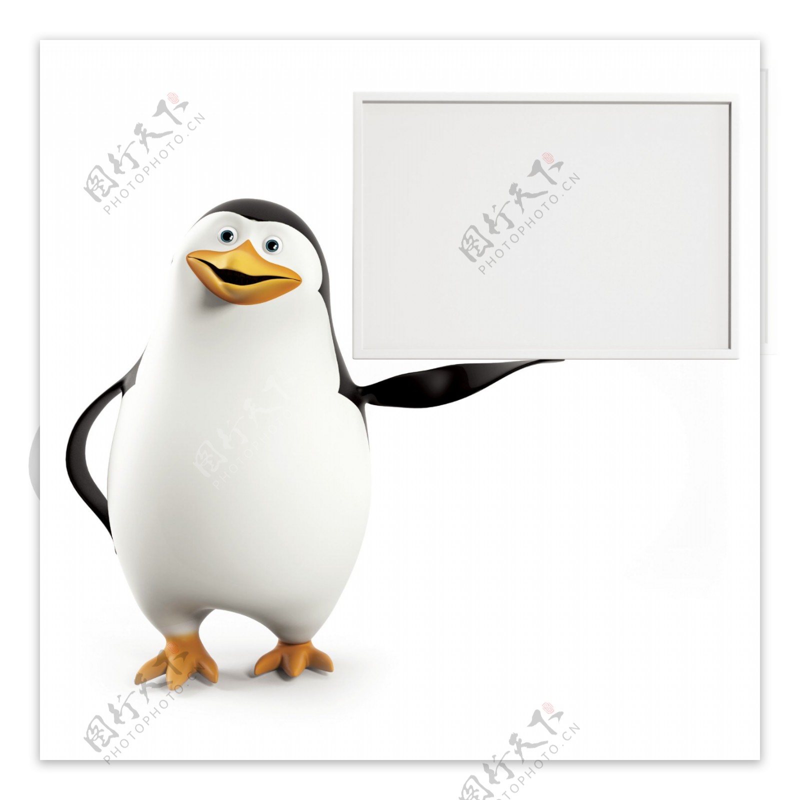 3d企鹅空白广告牌图片