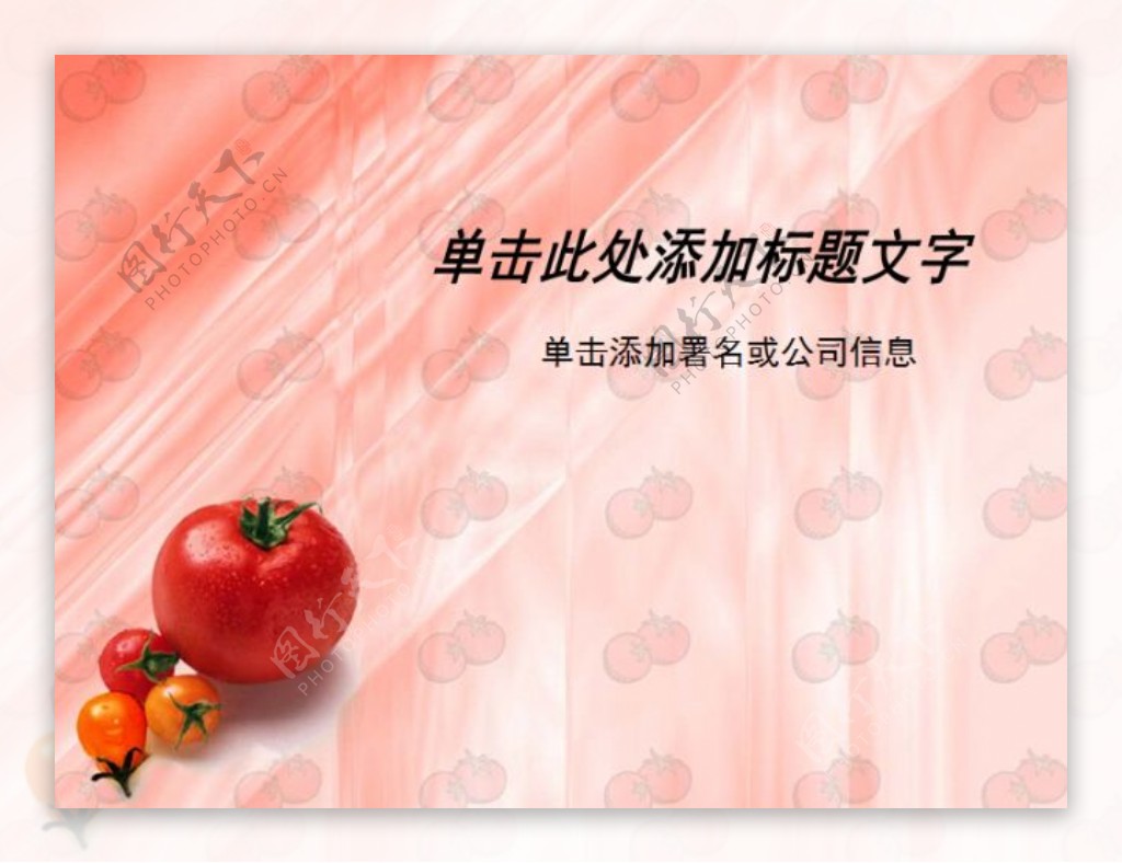 水果蔬菜类西红柿