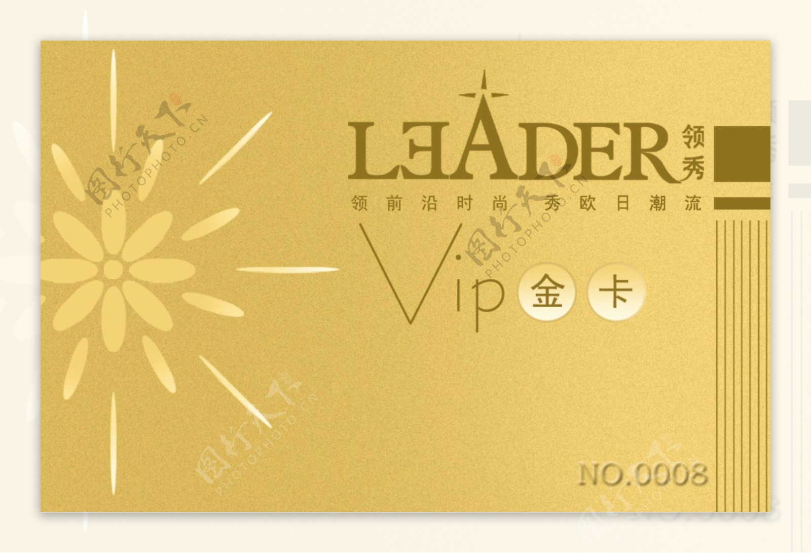 vip金卡正面图片