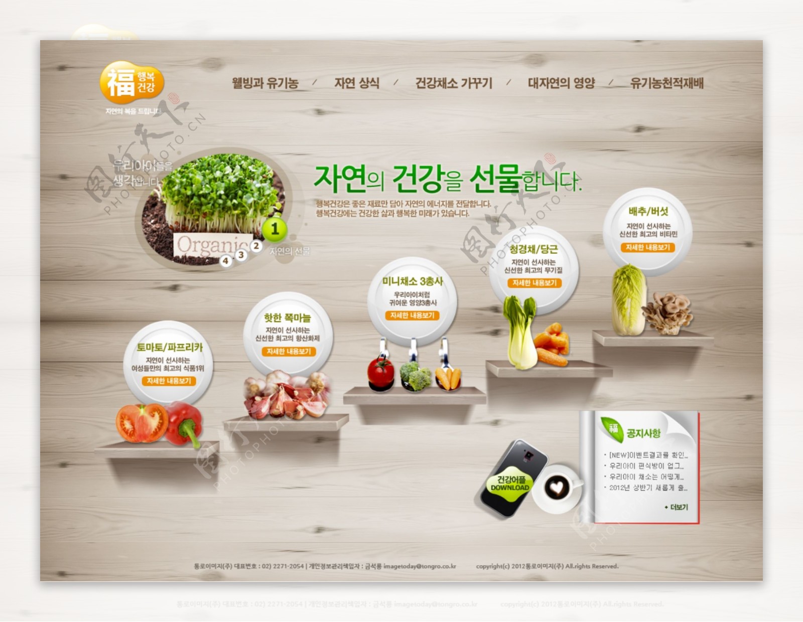 新鲜蔬菜网页psd模板