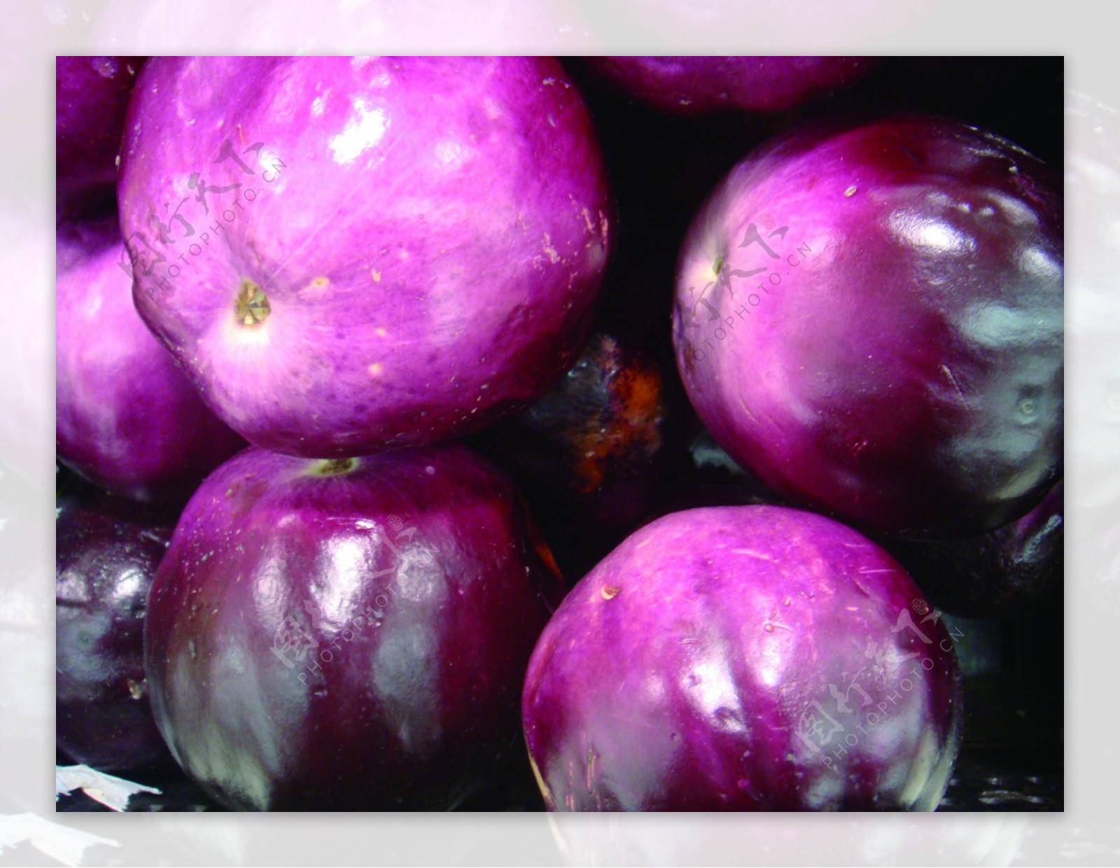 茄子蔬菜菜紫茄子图片