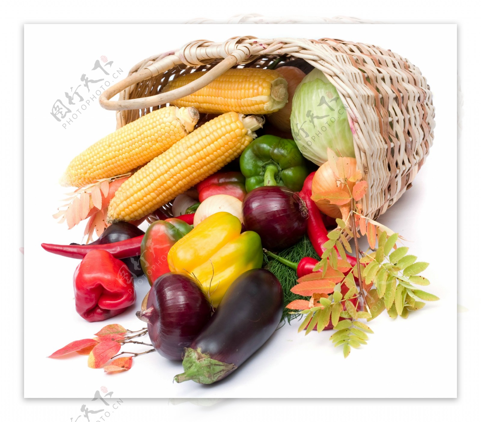 蔬菜与菜篮图片