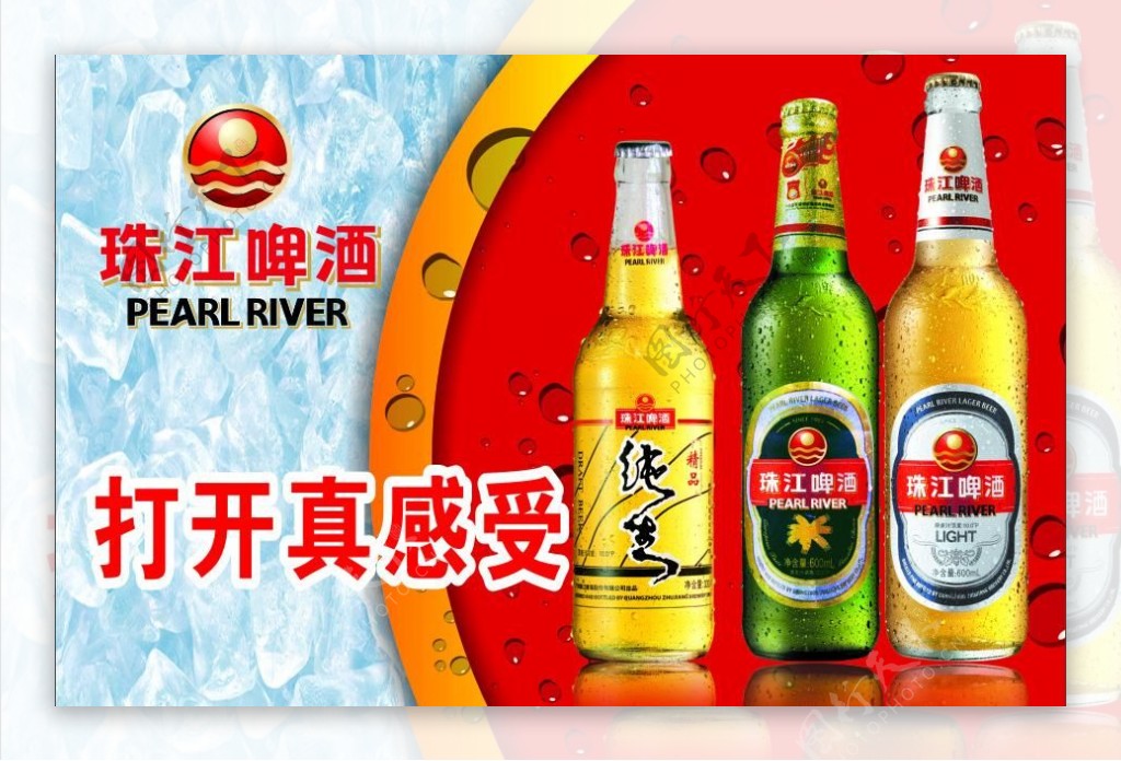 珠江啤酒水牌图片