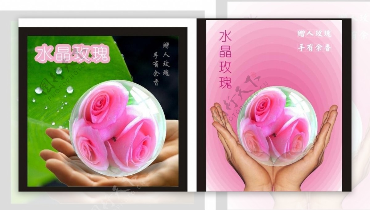 玫瑰水晶球图片