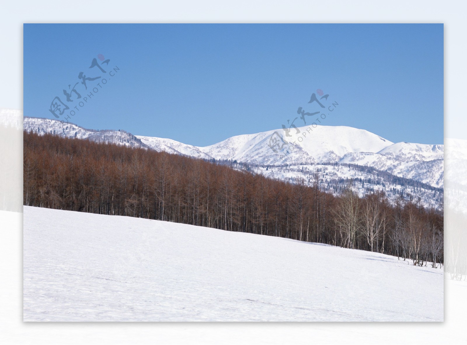 冰雪景象