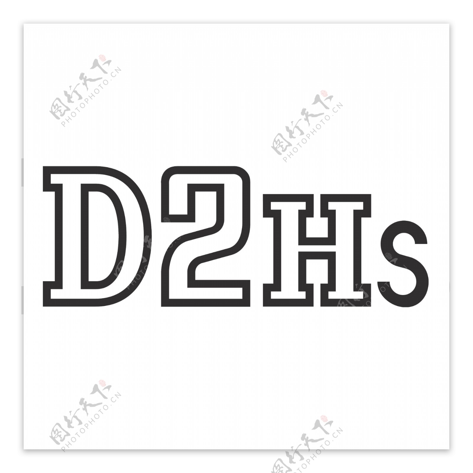 d2hs尼康