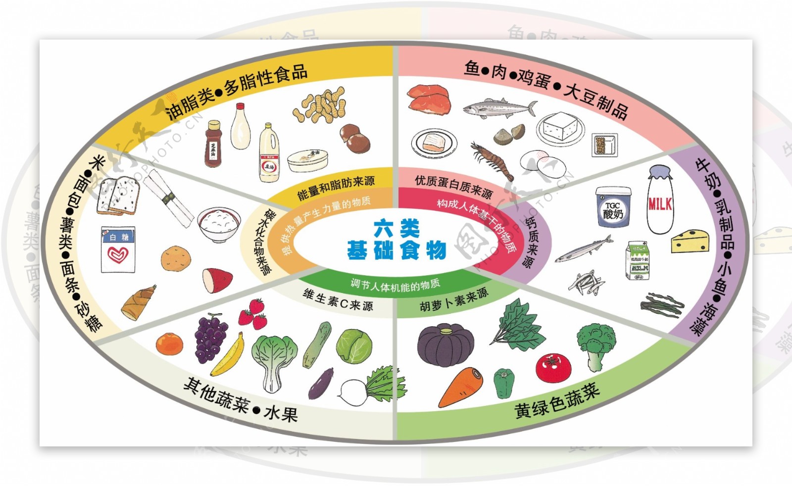 六类基础食物图片