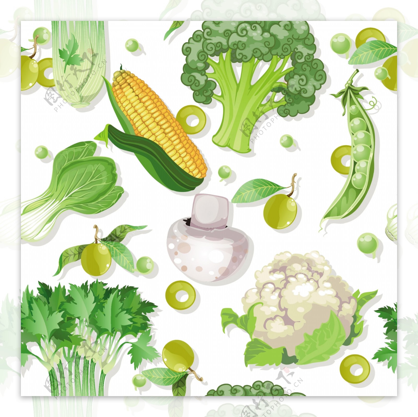 矢量新鲜蔬菜素材图片