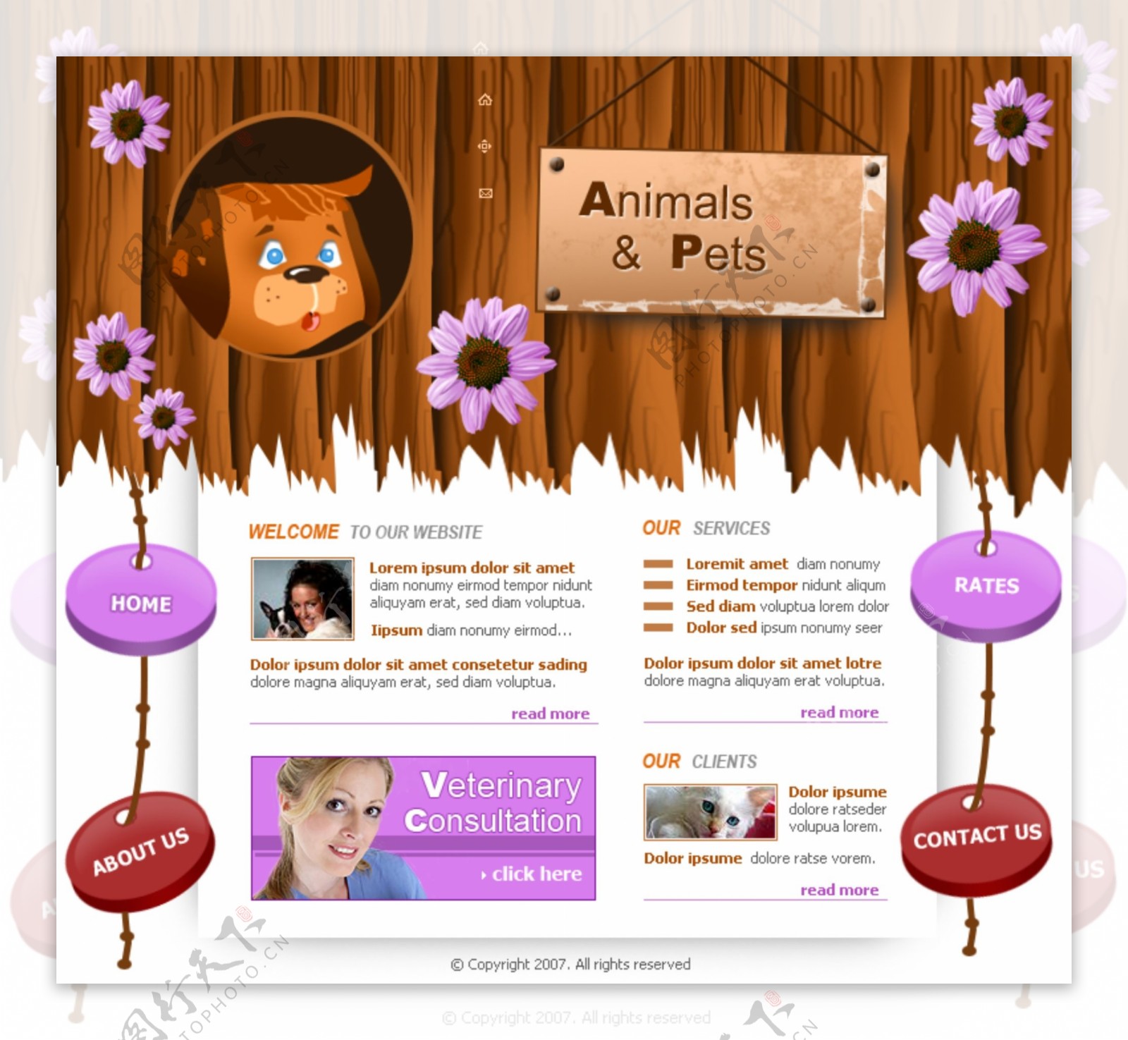 动物宠物保护机构网页模板图片