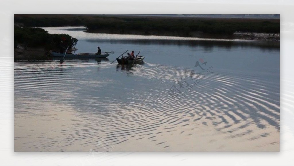 红树林里渔船划动水波荡漾视频素材