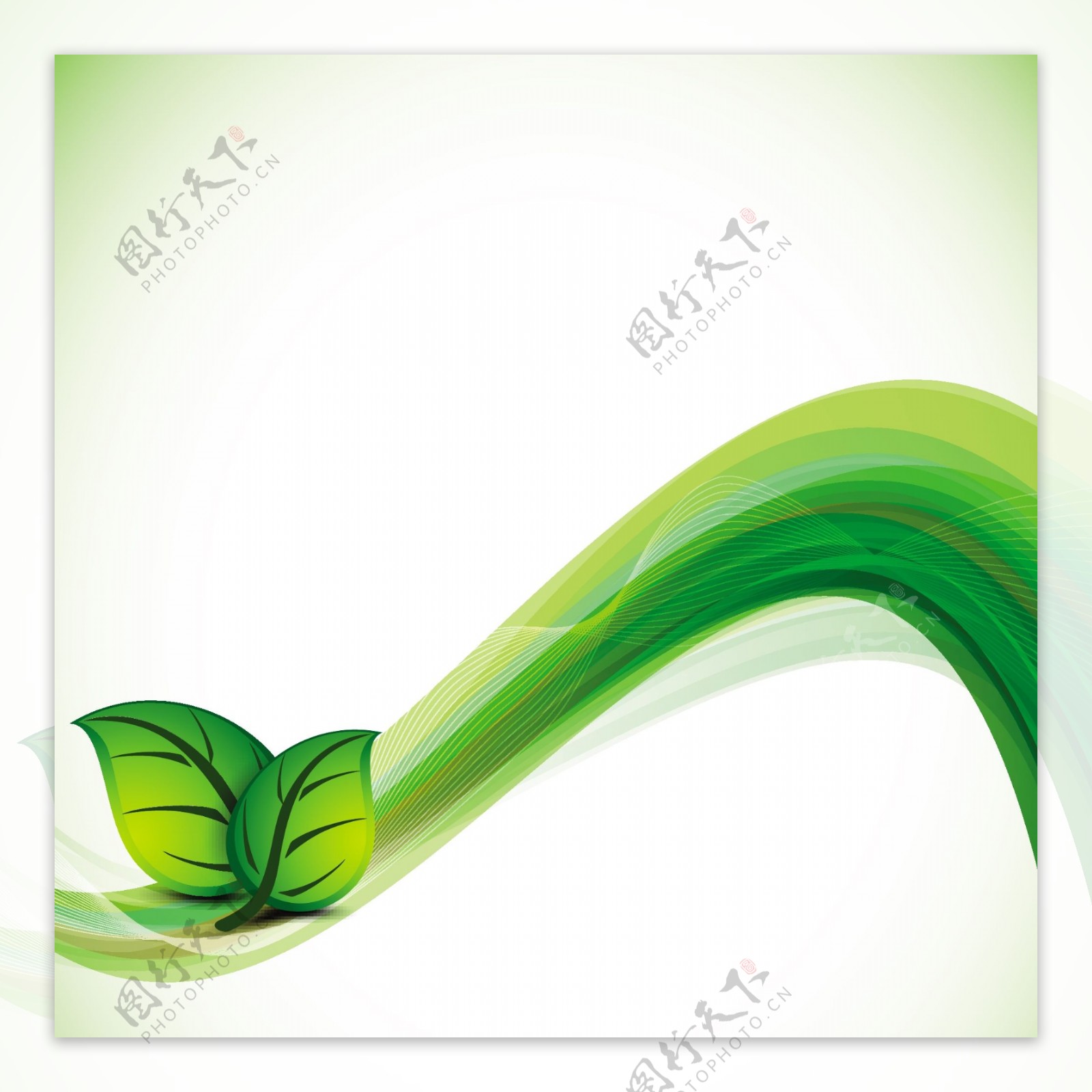 矢量图的性质和波背景与绿色的叶子和可用空间的文本