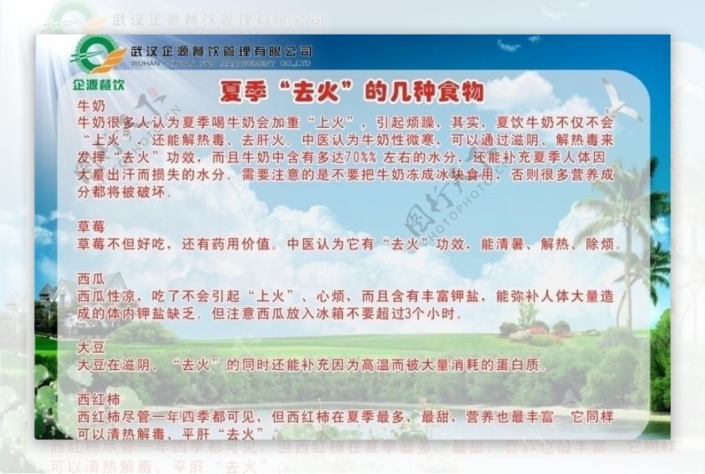 夏季养生图片