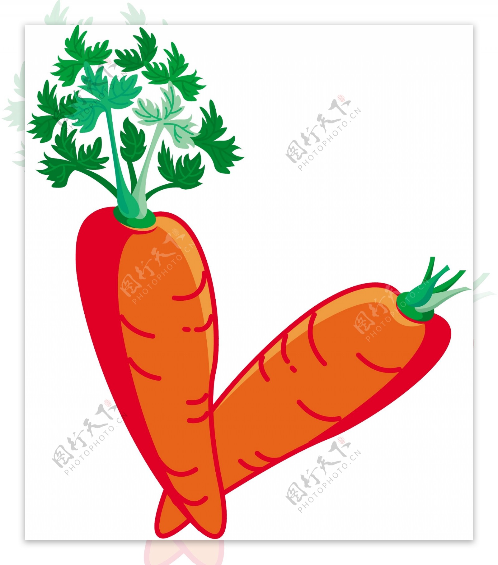 紅蘿蔔01图片