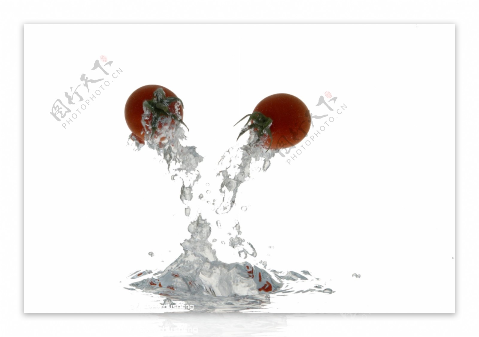 水和番茄