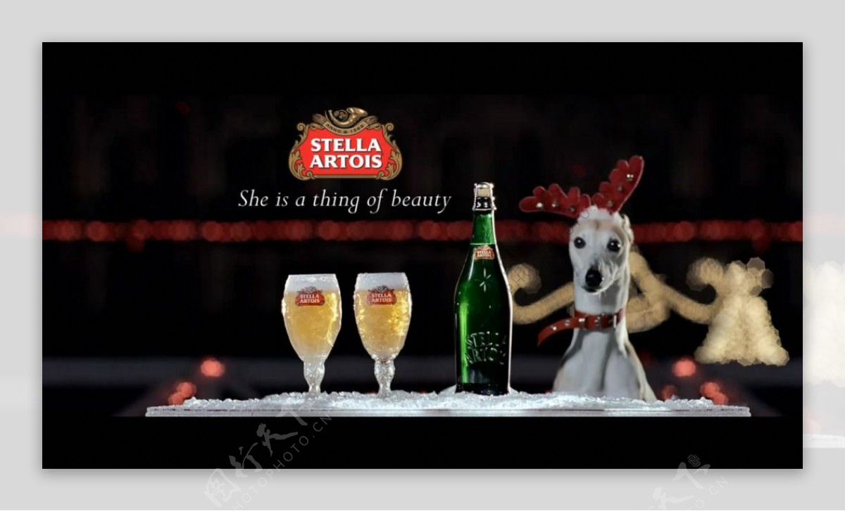Artois啤酒广告视频素材