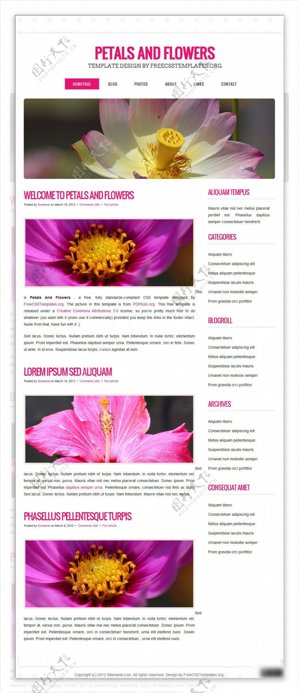 鲜花摄影展销类网页