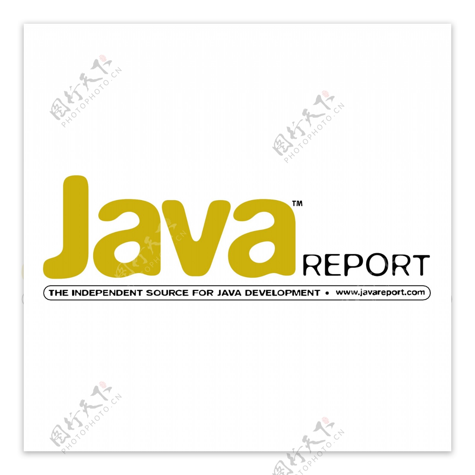 Java报告