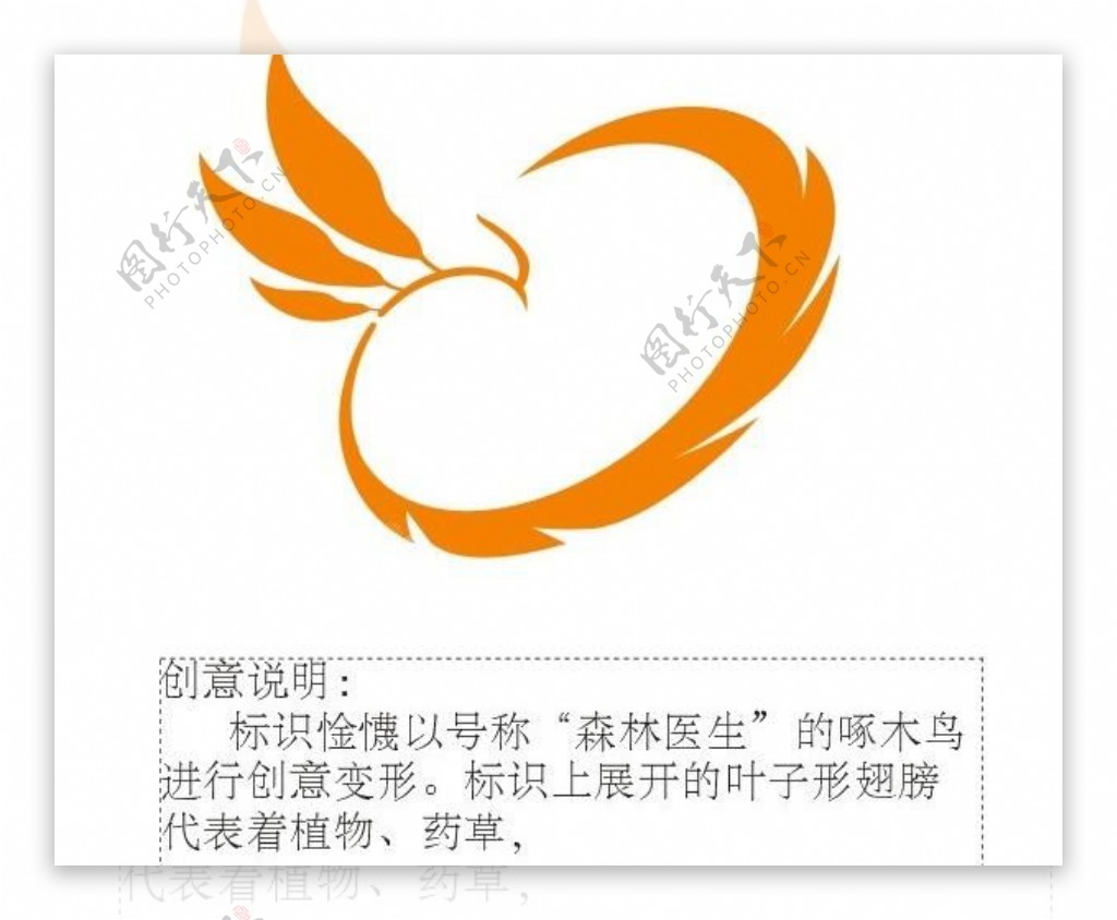 鸟型logo图片