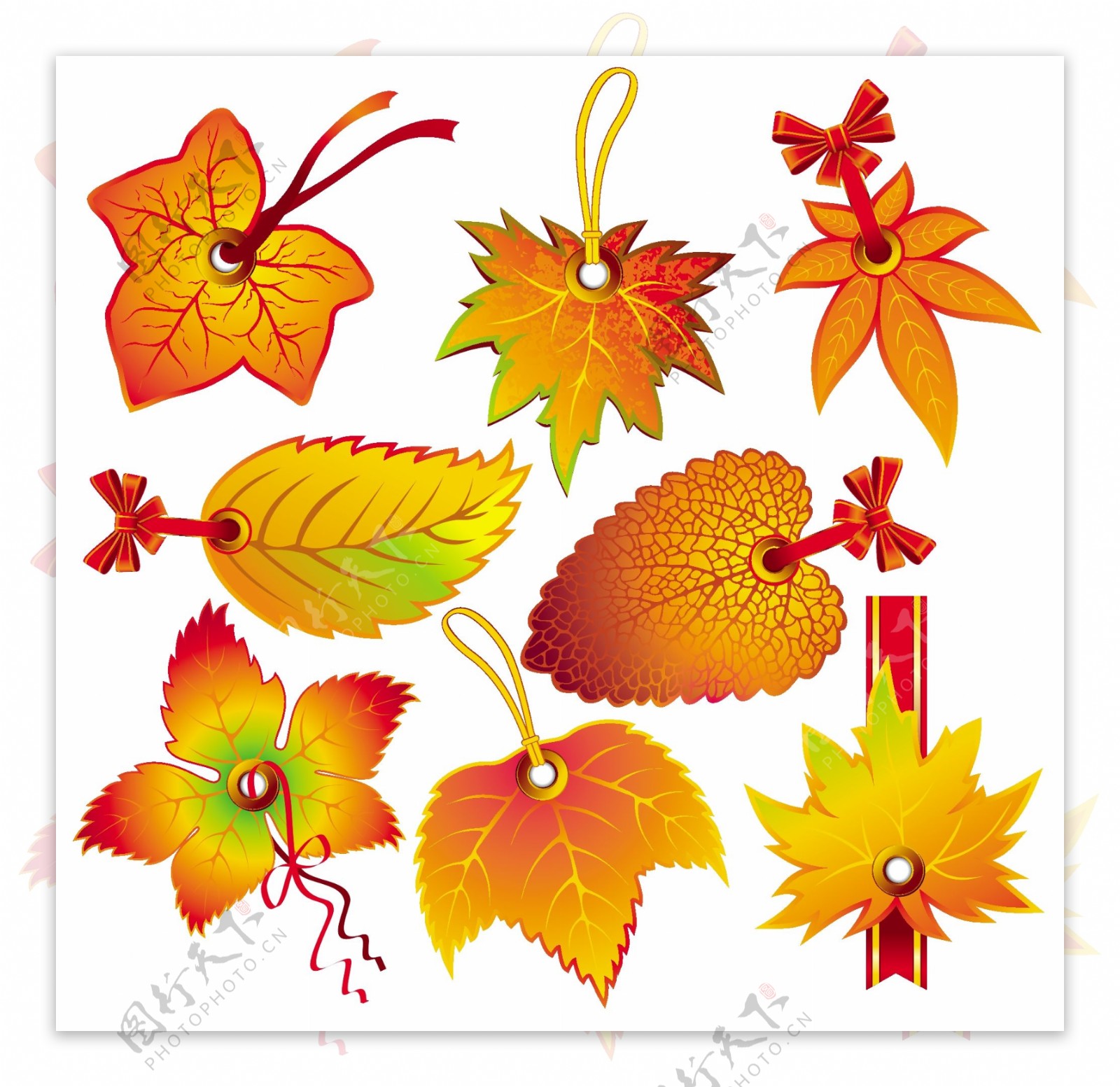 美丽的秋天树叶主题LOGO矢量素材