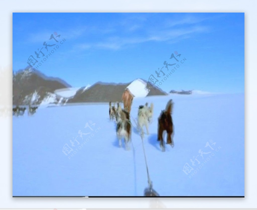 狗拉雪橇视频素材模板下载